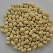 Chinese New Crop Blanched Peanut Kernel